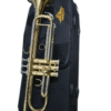 A gold and silver trumpet placed on a black soft carrying case featuring the "Ejimek Japan" logo in gold. The trumpet has a polished brass body with silver accents on the tuning slides and valve caps. The image background is white, making the instrument and case stand out clearly.