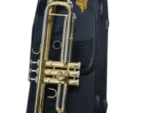 A gold and silver trumpet placed on a black soft carrying case featuring the "Ejimek Japan" logo in gold. The trumpet has a polished brass body with silver accents on the tuning slides and valve caps. The image background is white, making the instrument and case stand out clearly.