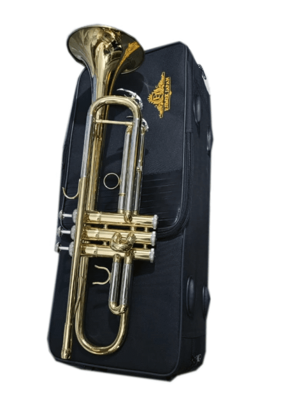 A gold and silver trumpet placed on a black soft carrying case featuring the "Ejimek Japan" logo in gold. The trumpet has a polished brass body with silver accents on the tuning slides and valve caps. The image background is white, making the instrument and case stand out clearly.